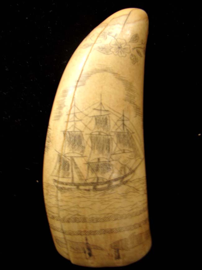 A late 19th or early 20th century whale's tooth with whaling motif. — image 4